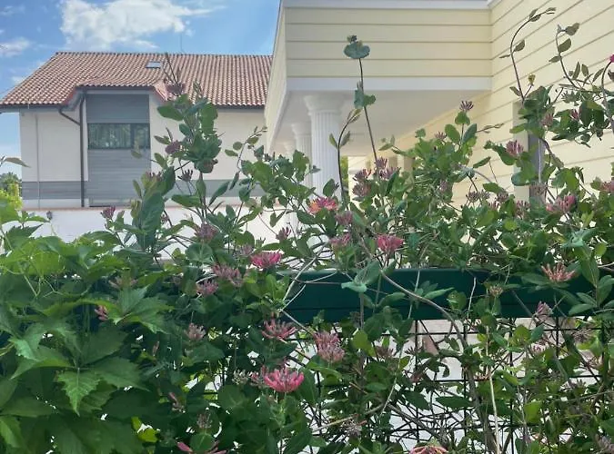 Iarca アパートホテル 4*